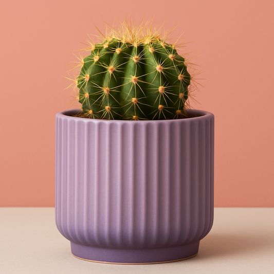 A professional product photograph of a small cactus in a modern ribbed ceramic pot with purple gradient