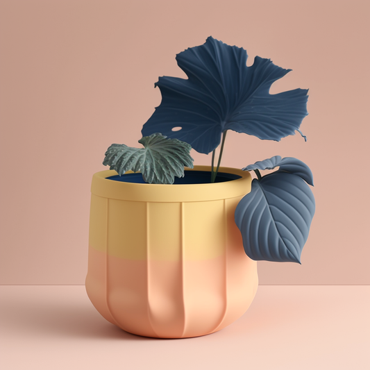 Monstera